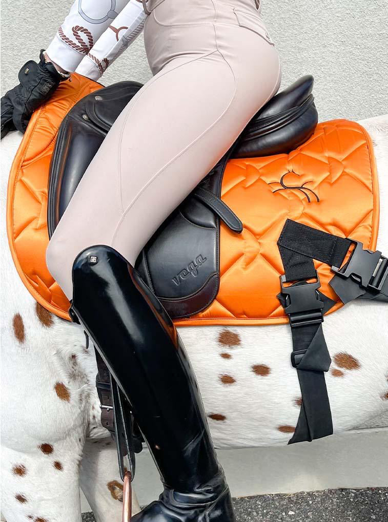 CORE by D: Next-Generation Training Aids for Stronger, More Balanced Horses