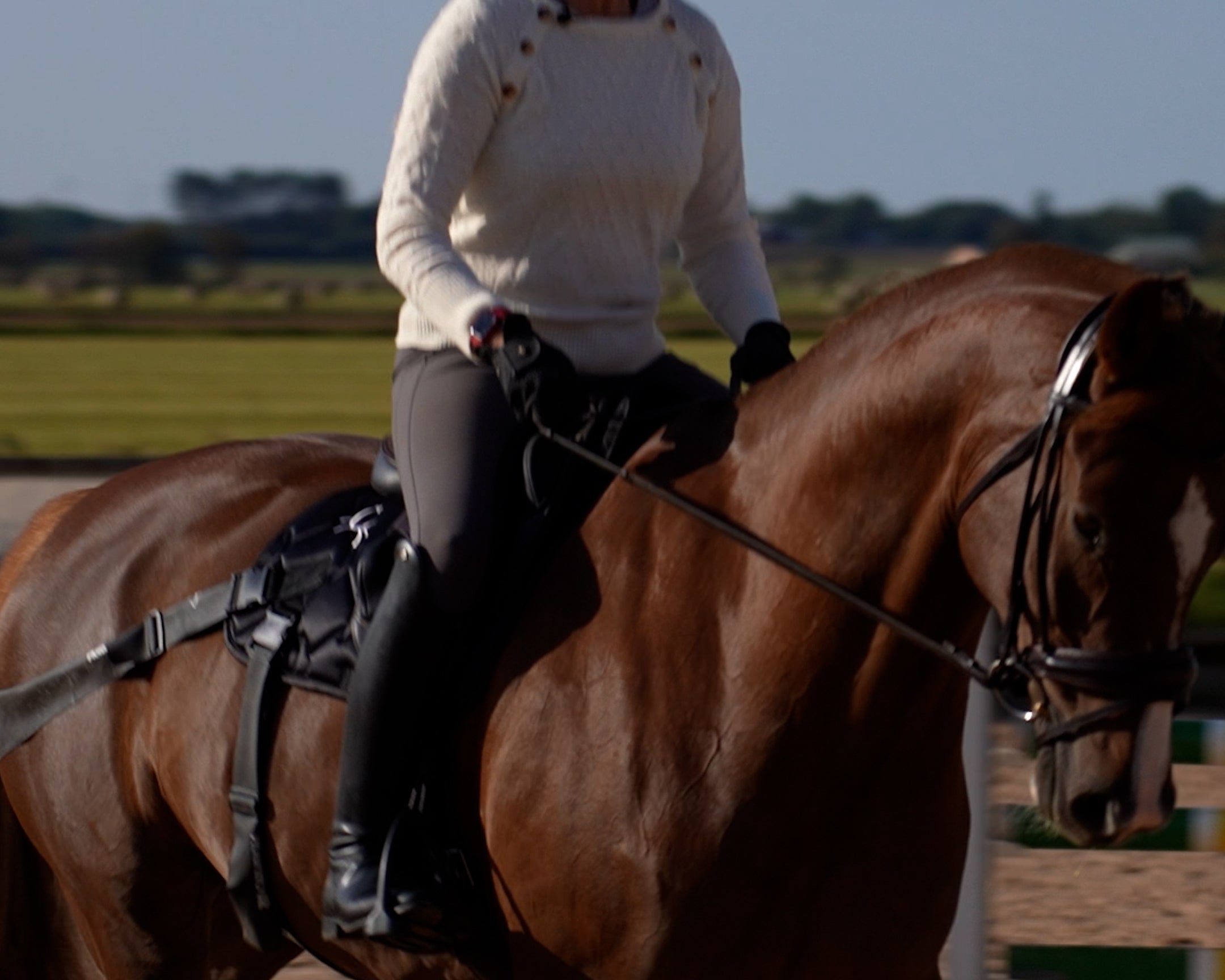 Horse being lunged wearing CORE by D saddle pad with elastic training bands