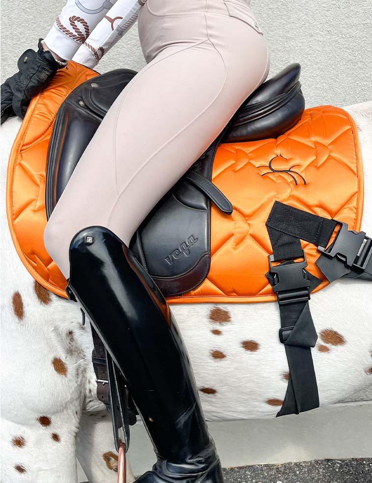 CORE by D Orange Training Aid for horses