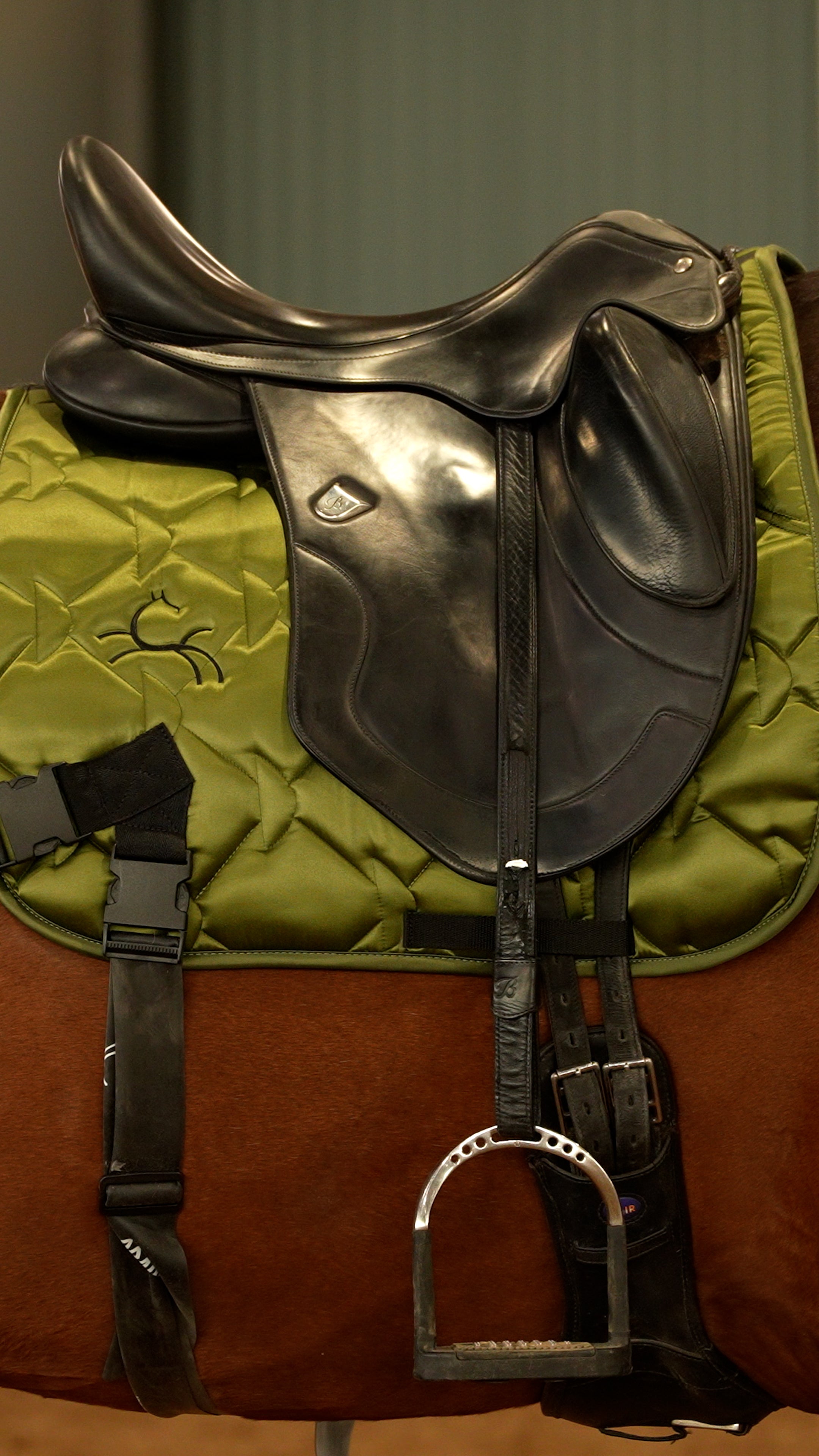 CORE by D green saddle pad and elastic training band 