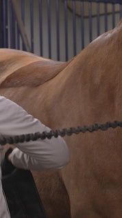 Complete set met zadeldek en trainingsbanden voor paarden in oranje